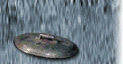 Froglet