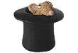 Top Hat
