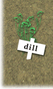 Dill the Dog