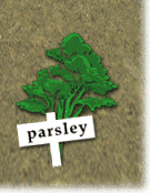 Parsley the Lion